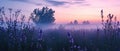 Lavender Twilight Peaceful Scene With Hues Of Lavender And Dusky Blue Royalty Free Stock Photo