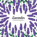 Lavender vector drawing frame. wild flower and leaves.