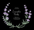 The lavender elegant wreath. Royalty Free Stock Photo