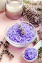 Lavender violet sea salt with lavender flowers, candle. Lavender bath products Aromatherapy treatment on pink color background. Royalty Free Stock Photo