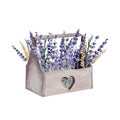 Lavender watercolor hand painted provence box cereal wheat
