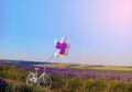 lavender with wedding white bicycle