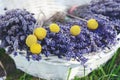 Lavender in white basket