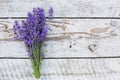 Lavender on a wooden background. Medicinal plant in bloom. Royalty Free Stock Photo
