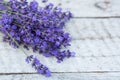 Lavender on a wooden background. Medicinal plant in bloom. Royalty Free Stock Photo