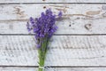 Lavender on a wooden background. Medicinal plant in bloom. Royalty Free Stock Photo