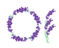 Lavender wreath isolated on white background. Bunch beautiful violet flowers.3D realistic lavender with copy space for