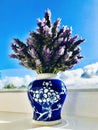 Lavenders in blue porcelain vase.