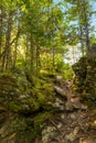 Laverty Falls Trail Path Royalty Free Stock Photo