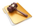 LAW hammer on computer folder. 3D Icon Royalty Free Stock Photo