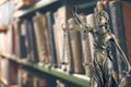 Law and wisdom. Statue of Lady Justice near shelves with books, space for text