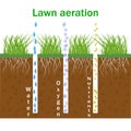 Lawn aeration. Concept of garden grass lawncare, landscaping, lawn grass care. Lawn aeration infographics.