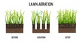 Lawn Aeration Illustration