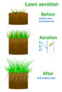Lawn aeration infographics isolated on white background.