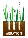 Lawn aeration process vector illustration. Concept of lawn grass care, gardening service, benefits of aeration. Water Royalty Free Stock Photo