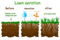 Lawn aeration stage illustration. Before and after aeration. Royalty Free Stock Photo