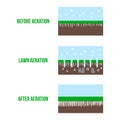 Lawn aeration stage illustration. Gardening grass lawncare, landscaping service. Vector isolated on white