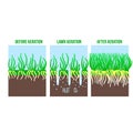 Lawn aeration stage illustration. Gardening grass lawncare, landscaping service. Vector isolated on white Royalty Free Stock Photo