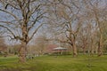 Lawn with bare oak trees and pavilon in Stephen`s Green park, Dublin