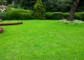 Lawn, Beatiful green grass garden Royalty Free Stock Photo