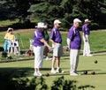 Lawn Bowlers With Balls