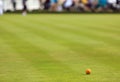 Lawn bowling green with jack Royalty Free Stock Photo