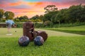 Lawn bowls leather bags and balls on the field side