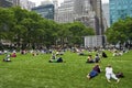 The Lawn Bryant Park Royalty Free Stock Photo