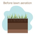 Lawn care - aeration and scarification. Labels by stage-before. Intake of substances-water, oxygen, and nutrients to