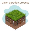 Lawn care - aeration and scarification. Labels by stage-during. Intake of substances-water, oxygen, and nutrients to