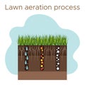 Lawn care - aeration and scarification. Labels by stage-during. Intake of substances-water, oxygen, and nutrients to