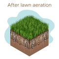 Lawn care - aeration and scarification. Labels by stage- after. Intake of substances-water, oxygen, and nutrients to