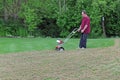 Lawn Care - Dethatching Grass Royalty Free Stock Photo