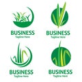 Lawn care logo