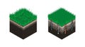 Lawn care, soil isometry, stages before and after aeration. Effect on the intake of substances - water, oxygen and