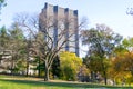 Lawn in Central Park by the Upper East Side in 100th street