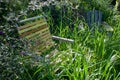 Lawn chair and adirondack chair in garden obscured by overgrown grass and shrubs