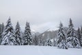 Beautiful landscape on the cold winter foggy morning. On the lawn covered with snow there is a trodden path to the mountains.