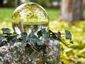 Lawn covered with yellow autumn leaves and a bare tree at the edge in the abstract of a glass ball wreathed with ivy Royalty Free Stock Photo