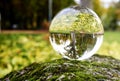 Lawn covered with yellow autumn leaves and a bare tree at the edge in the abstract misrepresentation of a glass ball on a stone