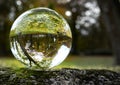 Lawn covered with yellow autumn leaves and a bare tree at the edge in the abstract misrepresentation of a glass ball on a stone