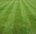 Lawn Cut With Stripes
