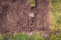 Lawn digging Royalty Free Stock Photo