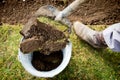 Lawn digging Royalty Free Stock Photo