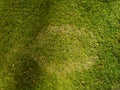 Lawn disease on golf course