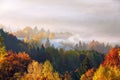 The lawn is enlightened by the sun rays. Majestic autumn rural landscape. Fantastic scenery with morning fog. Green meadows. Royalty Free Stock Photo