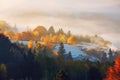 The lawn is enlightened by the sun rays. Majestic autumn rural landscape. Fantastic scenery with morning fog. Carpathians valley.