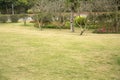 Lawn, flower bed and plants in Qingxiu mountain Nanning Royalty Free Stock Photo