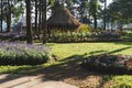 lawn and flowerbed in garden, spring flower park Royalty Free Stock Photo