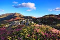 A lawn with flowers of pink rhododendron. Mountain landscape with beautiful sky and clouds. A nice summer day. Carpathian, Europe. Royalty Free Stock Photo